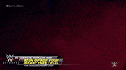 wwe sports wwe wrestling summerslam GIF