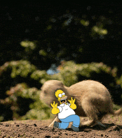 tee hee GIF