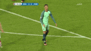 euro 2016 GIF by Sporza