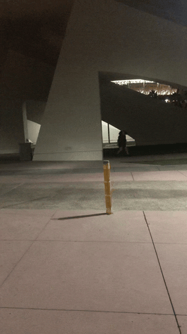 San Diego Twitch GIF