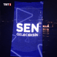 Night Flying GIF by TRT