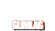Suid Afrika Lag Sticker