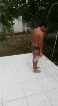 form execution GIF