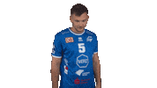 Handball Loser Sticker by LIQUI MOLY HBL