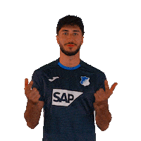 Sport Bundesliga Sticker by TSG Hoffenheim
