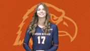 C-N Volleyball GIF by Carson-Newman Athletics