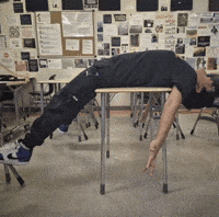 Scared Fly GIF