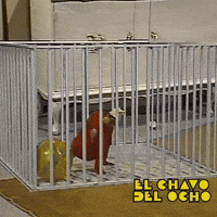 El Chavo Baby GIF by Grupo Chespirito