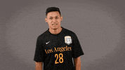 Soccer Ncaa GIF by Cal State LA Golden Eagles