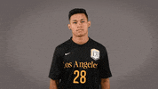 Soccer Ncaa GIF by Cal State LA Golden Eagles