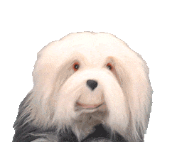 Samson En Gert Dog Sticker by Studio 100
