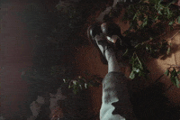 More Than Life Glaive GIF by Machine Gun Kelly