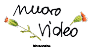 Nuovo Video Sticker by Blossom zine