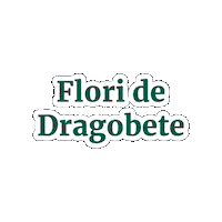 MagnoliaFlorarieOnline  Sticker