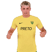 Football Goal Sticker by Nike liga