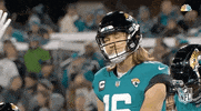 Nfl Playoffs Football GIF by NFL