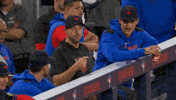 Talking Blue Jays GIF by Toronto Blue Jays