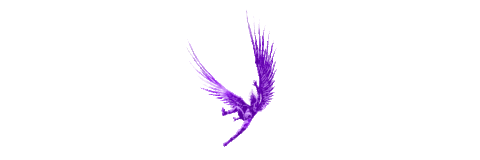 Edm Dubstep Sticker by Sullivan King