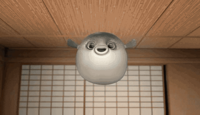 gif of a cute pufferfish moving towards the camera