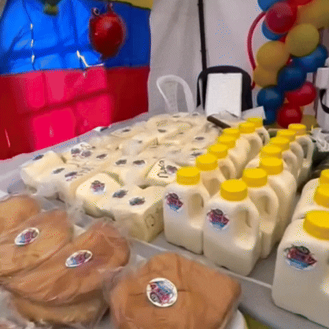 tuttohogar giphyupload GIF