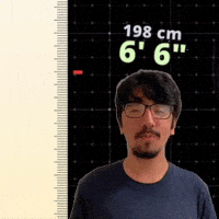 6' 6"