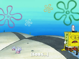 season 5 GIF by SpongeBob SquarePants