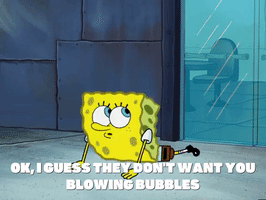 season 5 GIF by SpongeBob SquarePants