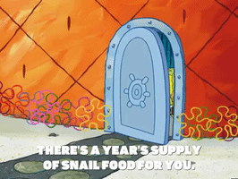 season 5 GIF by SpongeBob SquarePants