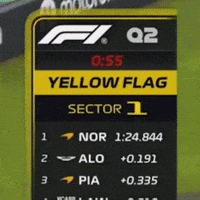 Flag F1 GIF by Sam Wood