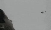 GIF by Silwale