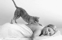 the best dreaming GIF