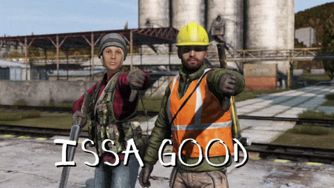 Dayz GIF