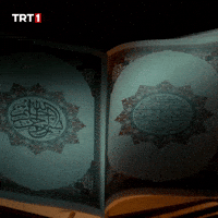 Book Reading GIF by TRT