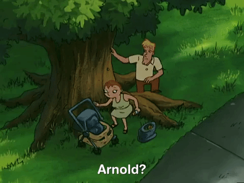 hey arnold nicksplat GIF