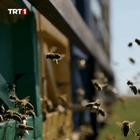 Work Monday GIF by TRT