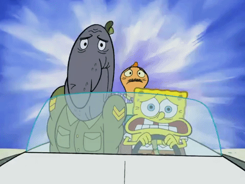 season 4 krusty towers GIF by SpongeBob SquarePants
