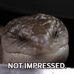 Lizard Reptile GIF by Valley Zoo Development Society