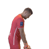 Soccer Occitanie Sticker by Toulouse Football Club