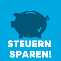 Money Taxes GIF by Steuerberaterverband Niedersachsen Sachsen-Anhalt e.V.