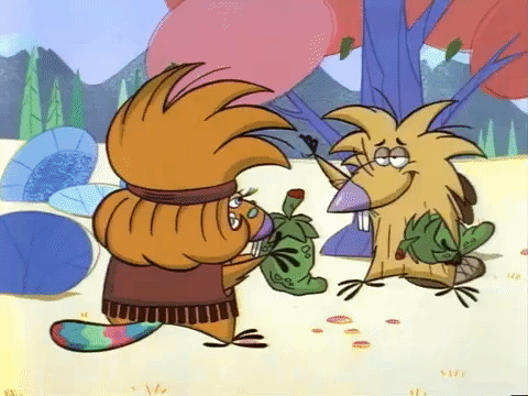 nickrewind giphydvr nicksplat angry beavers giphyab013 GIF