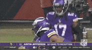 Minnesota Vikings Football GIF by NFL