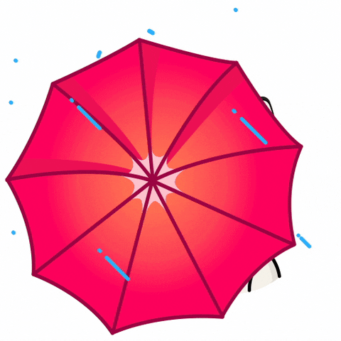 Good Morning Dog GIF by JPedicini