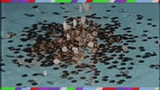 rogueartistsensemble gold head los angeles quarantine GIF