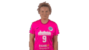 Vbl Wiesbaden Sticker by Volleyball Bundesliga