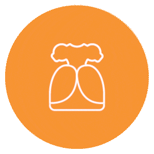 Park Pip Sticker by Middlesex_County