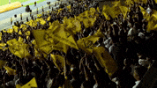 Кайрат GIF by FC Kairat