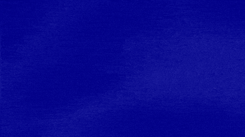 Bougie Shoes GIF by Jeopardy!
