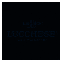 Cowboy Boots GIF by Lucchese Bootmaker