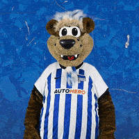 Happy Bundesliga GIF by Hertha BSC