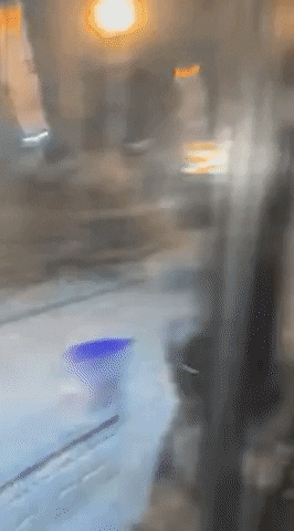 qwerpoiu22ppop giphyupload GIF